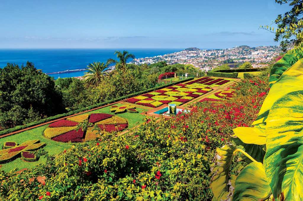 Transatlantic Cruises