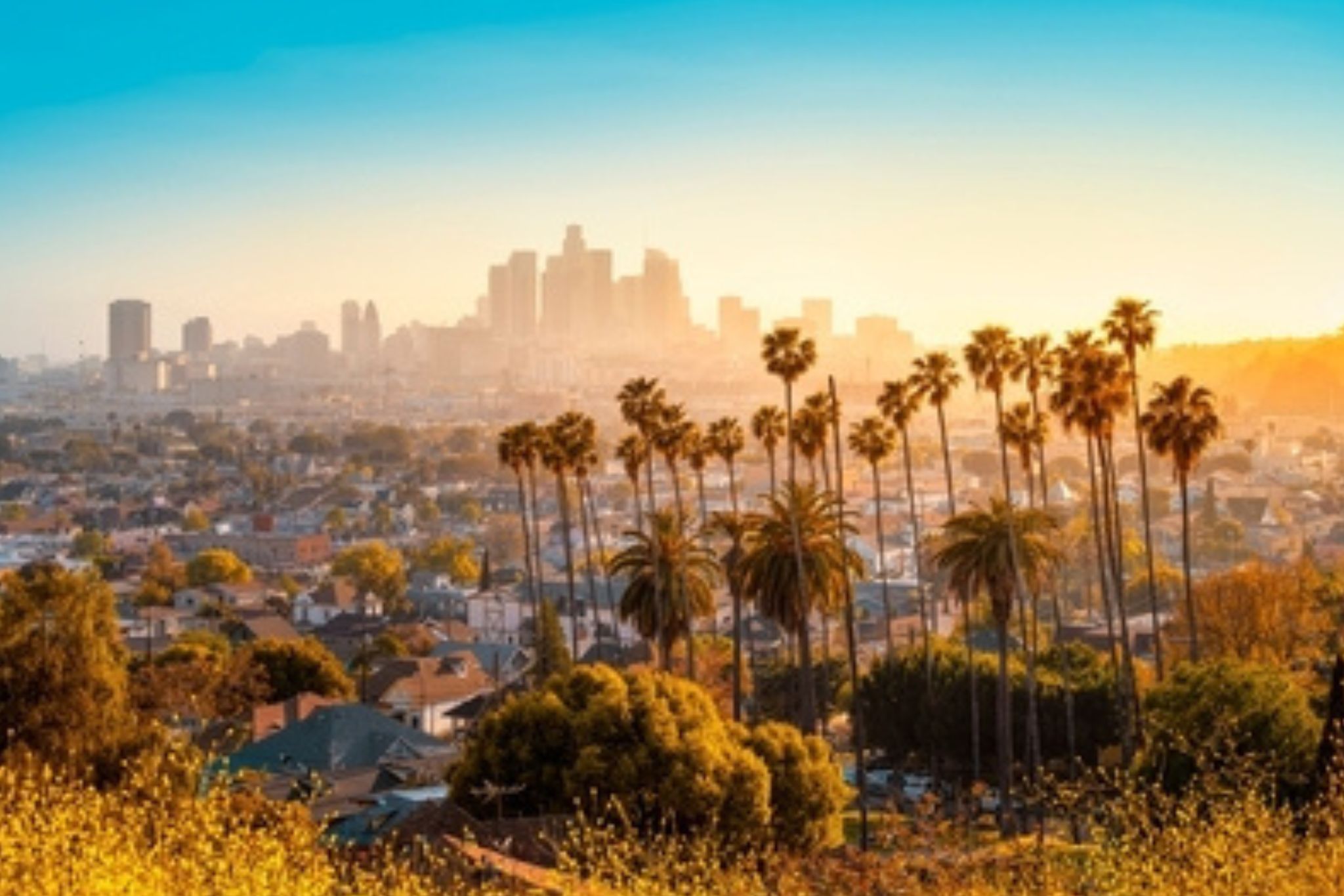 Top Affordable Cruise Destinations from Los Angeles