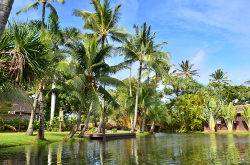 Polynesian Cultural Center