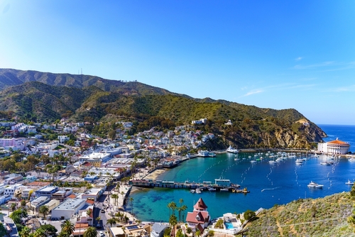Catalina Island