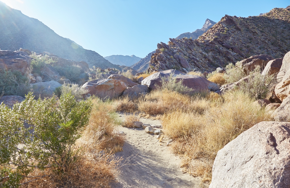 Anza-Borrego Desert State Park