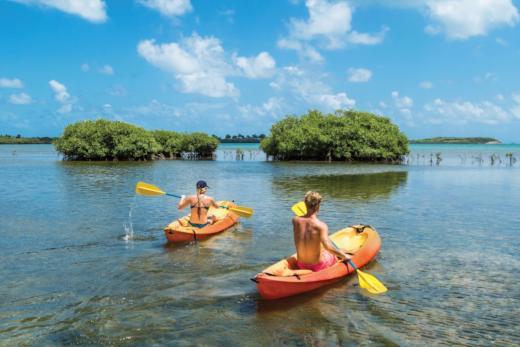 Why a Hawaii Cruise is the Best Way to See the Islands