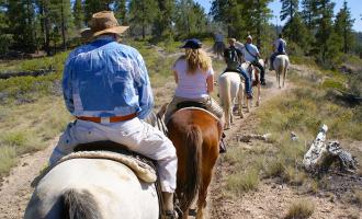 Mountain Horse Back Ride Adventure