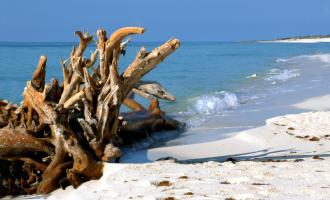 Cozumel Jeep and Beach Adventure