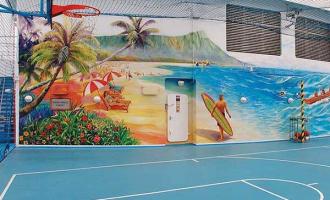 Basketball/Volleyball Court