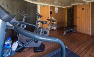 Wellness Wellness