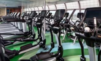 Wellness Wellness
