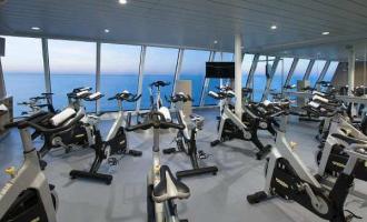 Wellness Wellness