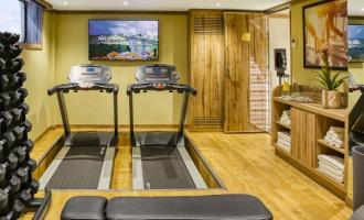 Wellness Wellness