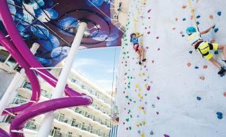 Rock Climbing Wall