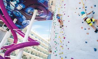 Rock Climbing Wall