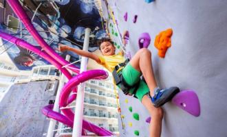 Rock Climbing Wall