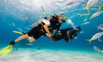 Scuba Certification