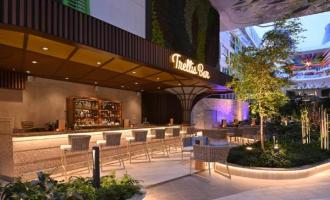 Trellis Bar Trellis Bar