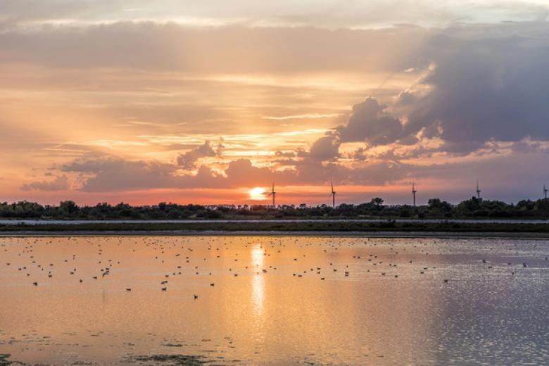 Sunset in the Camargue