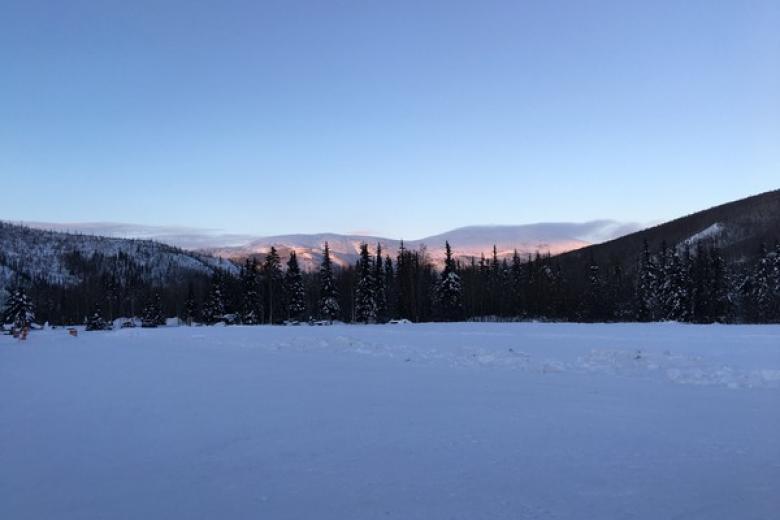 Visit the Denali National Park