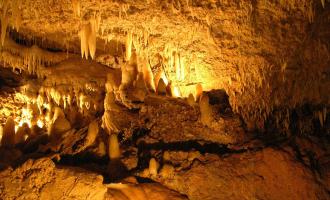 Barbados Harrisons Cave Tour