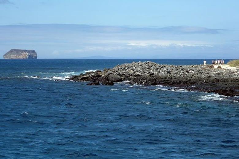North Seymour Island, Galapagos Islands