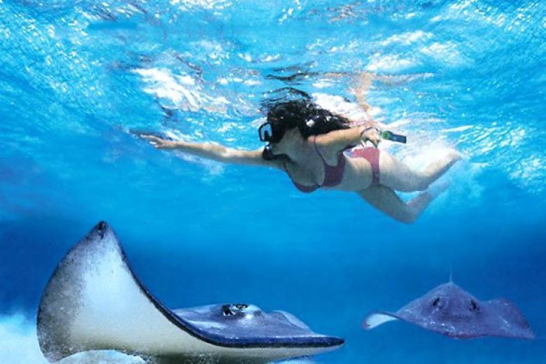 Royal Caribbean Cruises - Swim With Stingrays (Select Itineraries)
