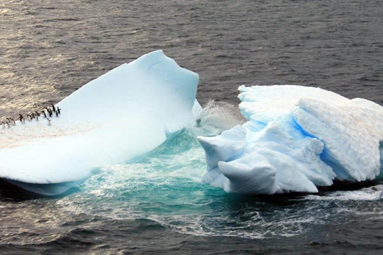 Iceberg in Drake Passage Antarctica 