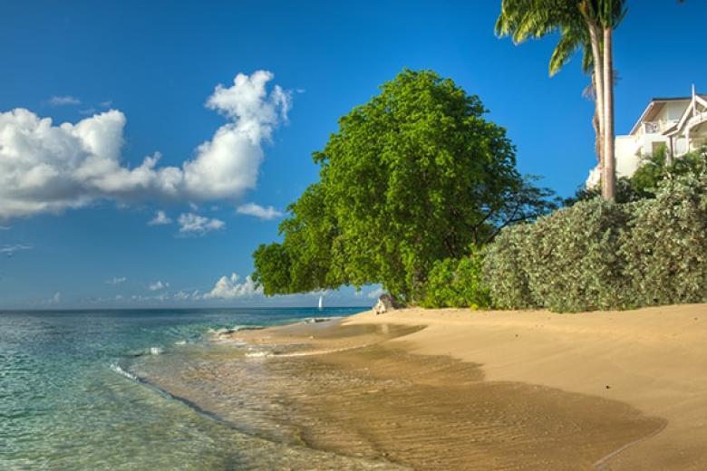 Barbados Paynes Bay