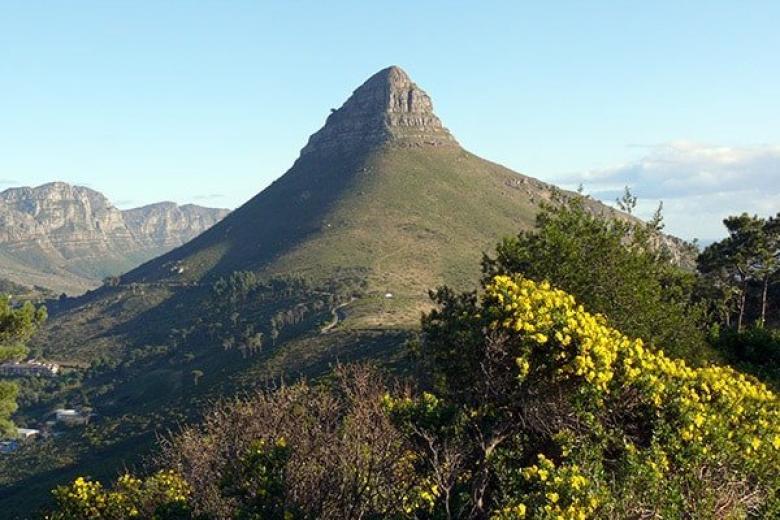 Lion's Head from Signal Hill