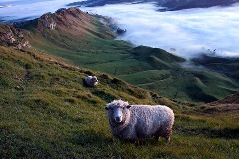 Hawkes Bay New Zealand