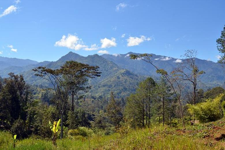 Papau, New Guinea